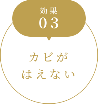 効果03 カビがはえない
