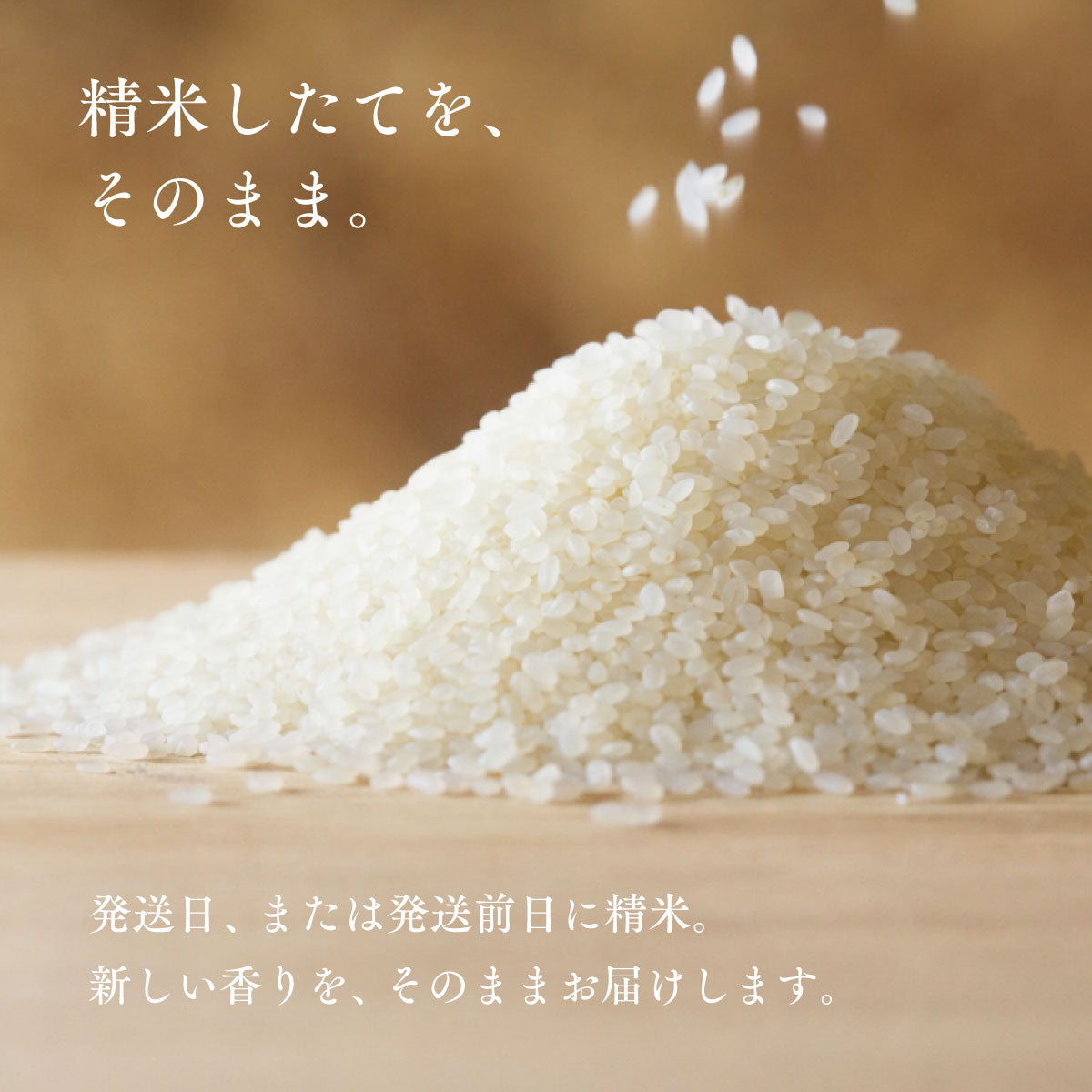 令和7年産 ななつぼし 5kg ×2袋 ななつぼし 新米 令和7年産 北海道産 米 JAきょうわななつぼし 北海道