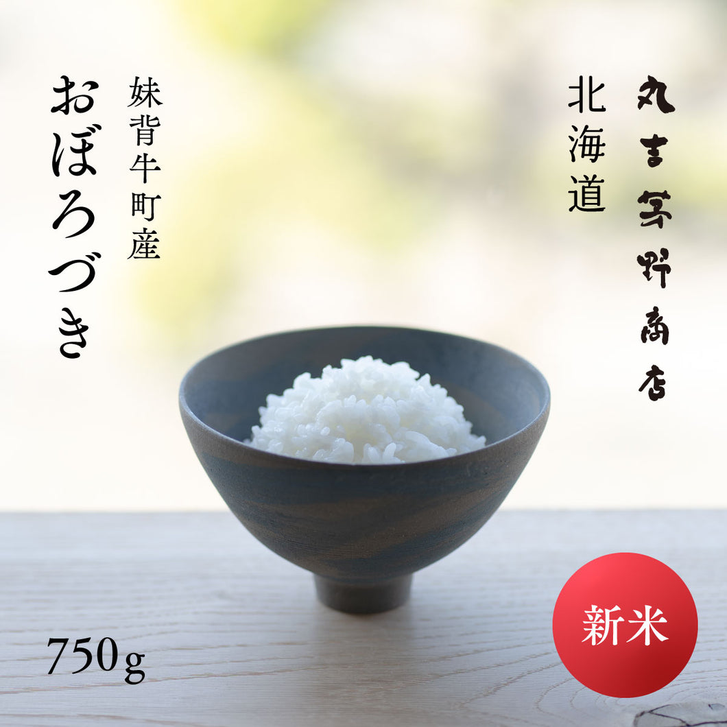 新米 北海道産 おぼろづき 令和7年産 白米 750g