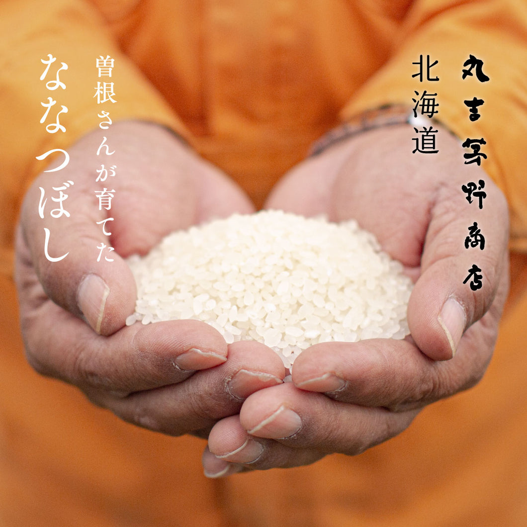 曽根さんが育てた「ななつぼし」 北海道妹背牛産 令和7年産 5kg / 10kg