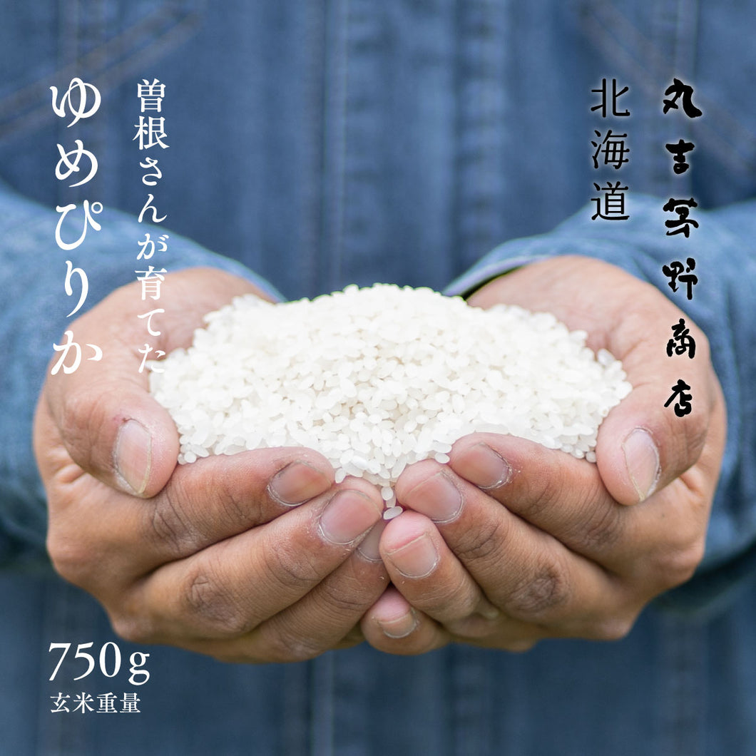 曽根さんが育てた「ゆめぴりか」 北海道妹背牛産 令和7年産 750g