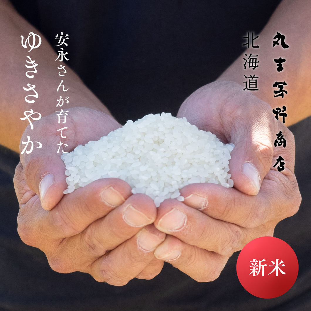 新米 安永さんが育てた「ゆきさやか」 北海道妹背牛産  令和7年産 750g