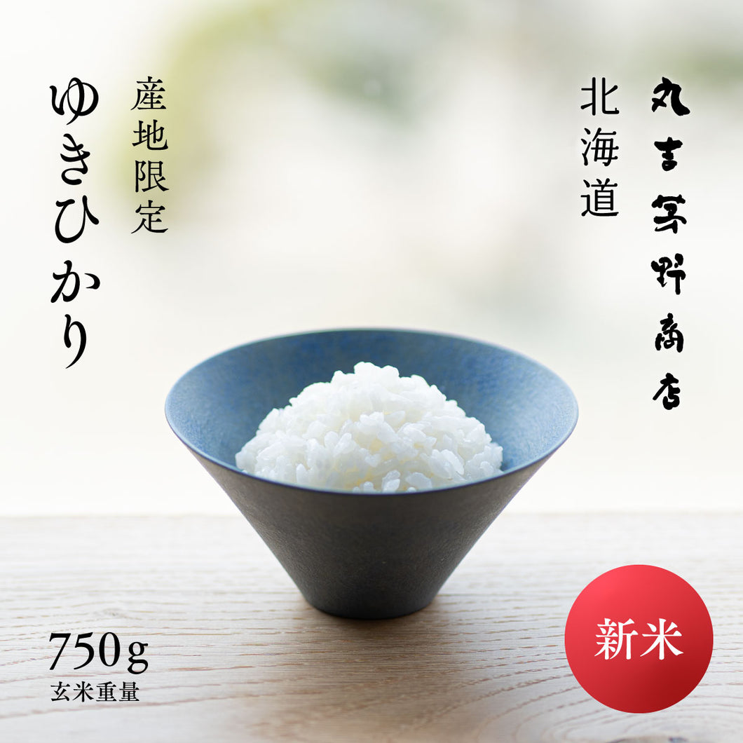 新米 北海道産 ゆきひかり 令和7年産 750g